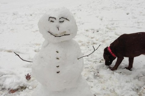 School cancelled for Jan. 7, due to cold weather