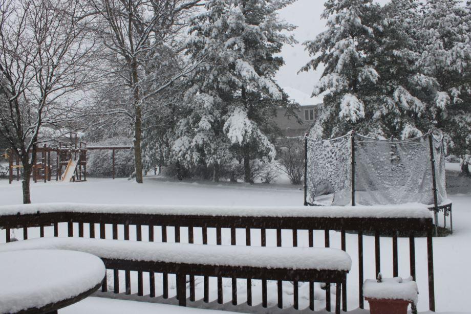 Snow continues to fall around the Chicagoland Area. This is the scene around the house of Community Editor and Social Media Manager Mark Kim.