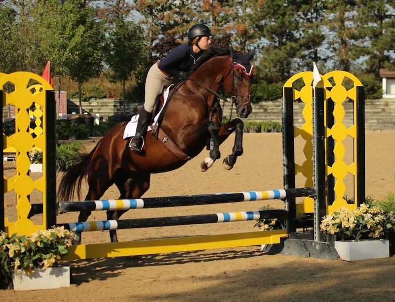 Junior Katie Ladin nurtures a bond with her horse, Derby