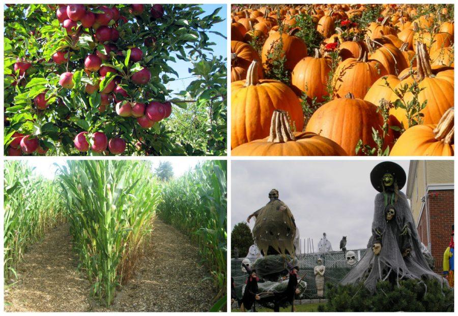 Best of Fall: Attractions and Activities