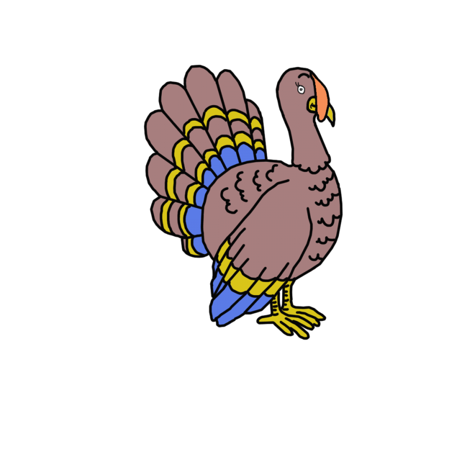 turkey