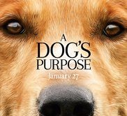 Film Review: A Dogs Purpose