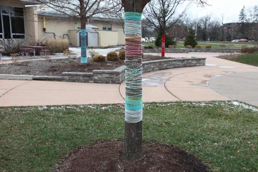 SCC yarn-bombs trees in Centrals Honor Garden