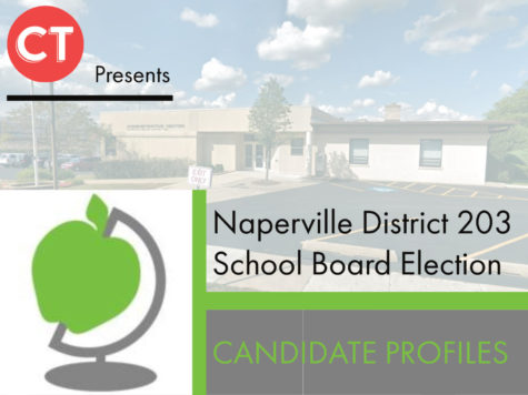 D203 school board candidate overviews