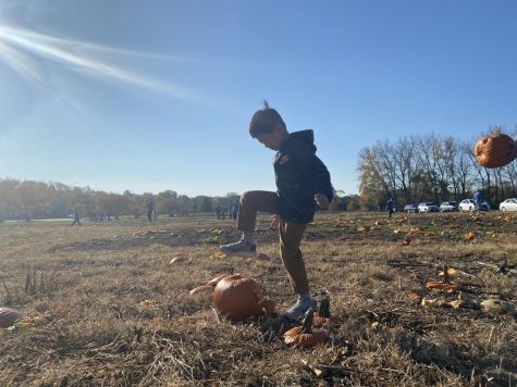 Hundreds of families brought their old pumpkins to smash in the Ron Ory Community Garden Plots near Naperville Central on West Street.  The event left over 22,000 pounds of pumpkins behind.