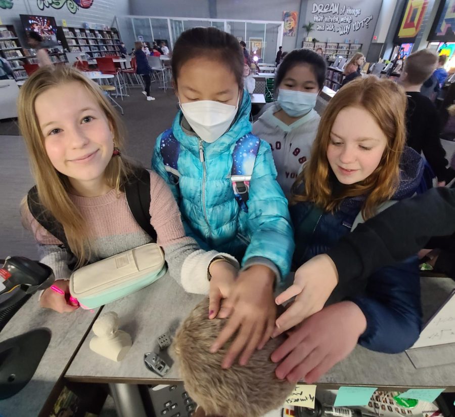 Students at Kennedy Junior High pet a Qoobo, one of the stress-relieving robots awarded in the NEF grant. 