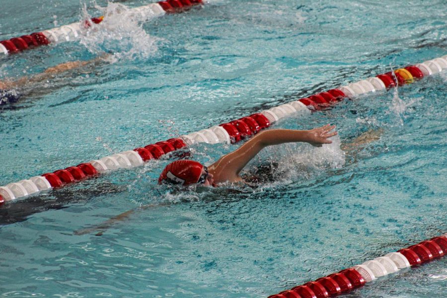 Swim and dive preps for postseason