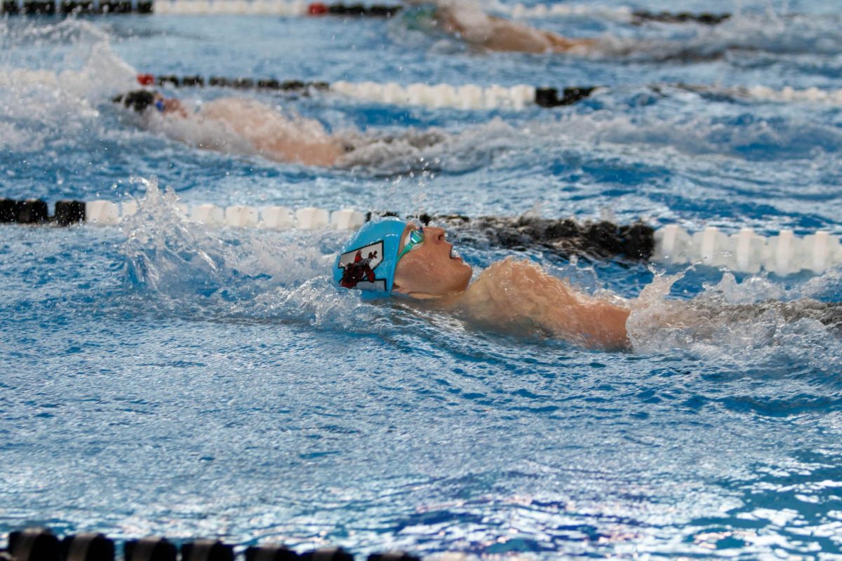 A Naperville Central swimmer races the backstroke at last years IHSA state championship.