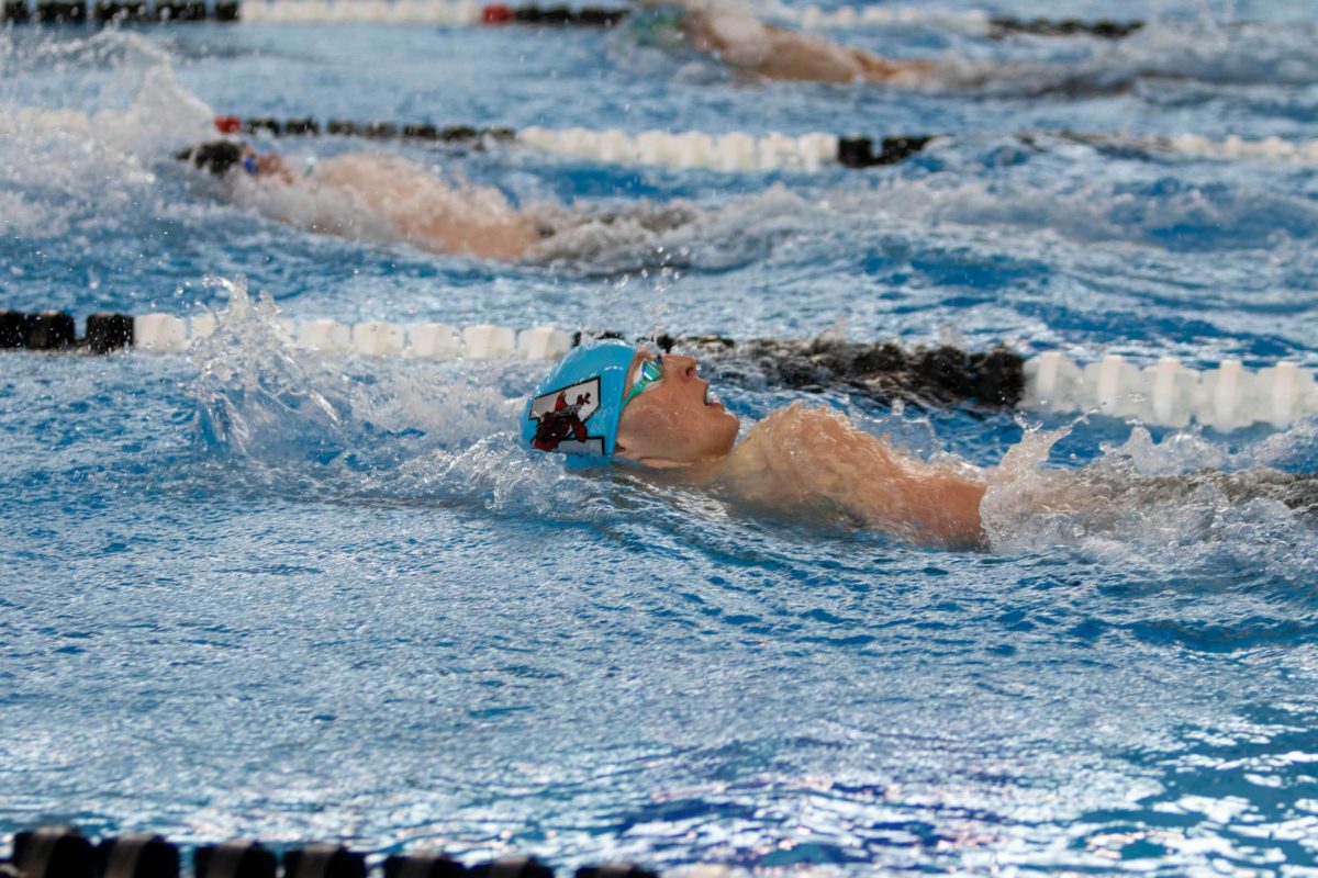 A Naperville Central swimmer races the backstroke at last year's IHSA state championship.